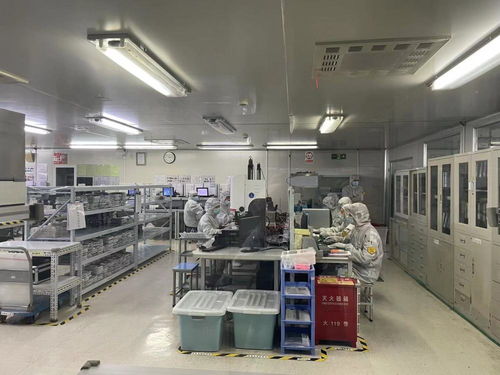 稅收激勵再發力 科技創新稅前扣除加碼，生物化工領域迎來研發投入新契機