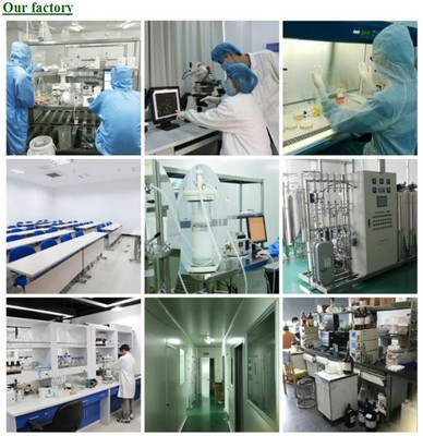 引領綠色未來 專注生物化工產品技術研發的卓越企業