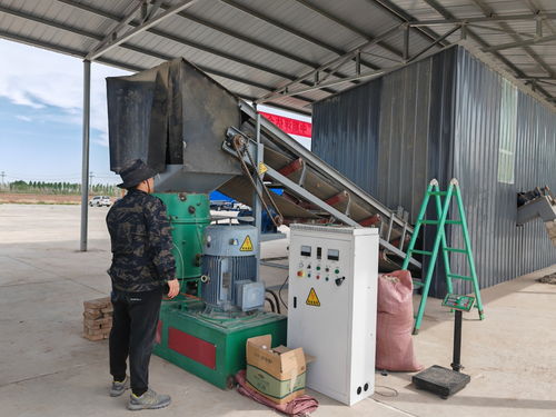 殘膜“重生” 關(guān)鍵技術(shù)突破引領(lǐng)地膜回收與高值化利用新篇章