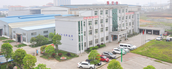 引領未來 卓越的生物化工產品與技術研發之路